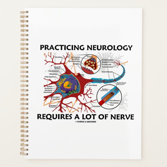 Practicing Neurology Requires (Devant)