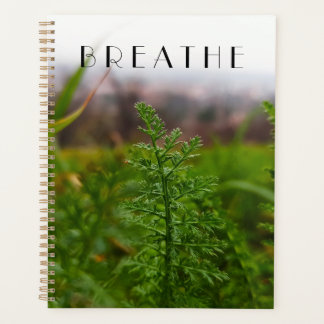 Prairie botanique verte et paisible du printemps