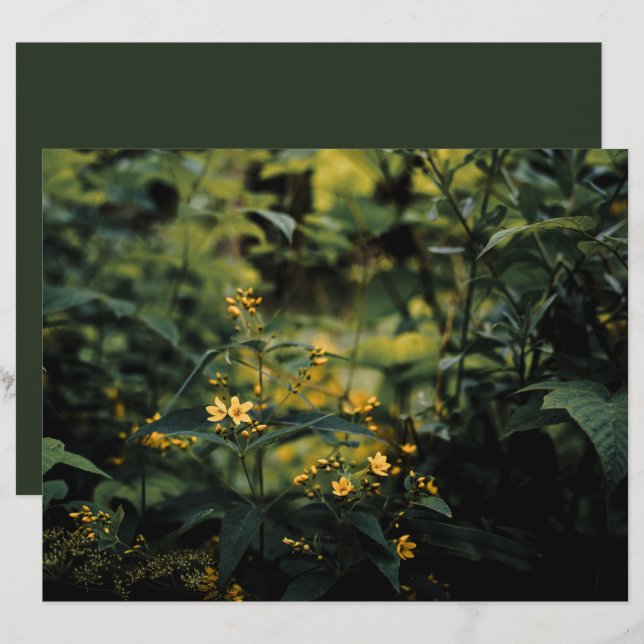 Prairie vert foncé, papier photo pour scrapbooking (Devant / Derrière)