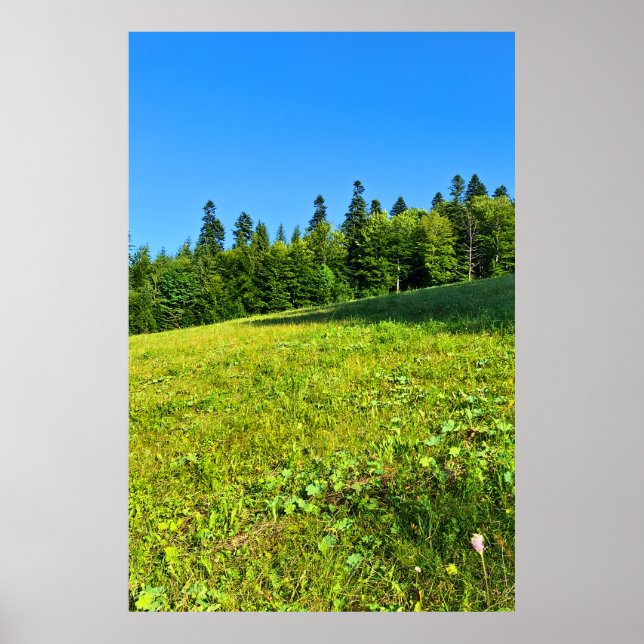 Prairie verte des Carpates – Impression de montagn (Devant)