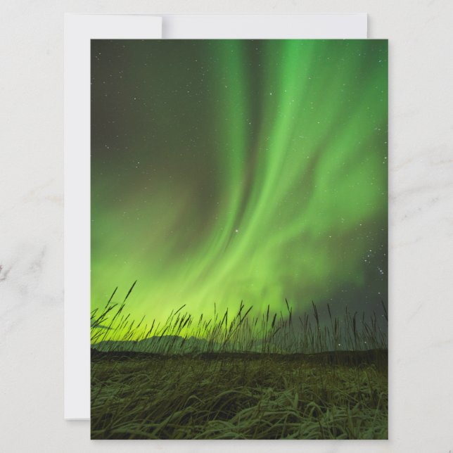 Prairies Aurora (Devant)
