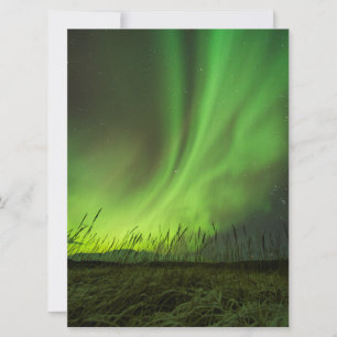 Prairies Aurora