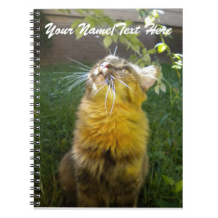 Précieux Carnet Kitty