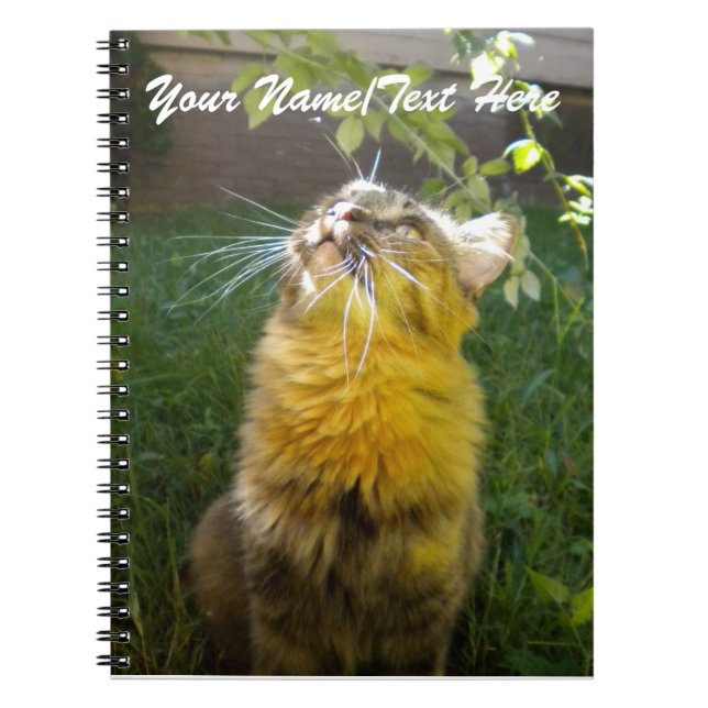 Précieux Carnet Kitty (Devant)