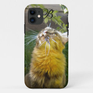Précieux Kitty Monogram iPhone 5 coque