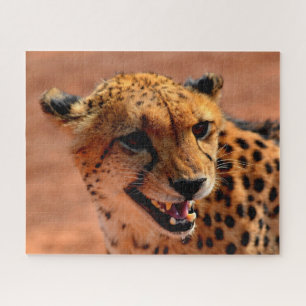 Prédateur Beau Guépard, Puzzle