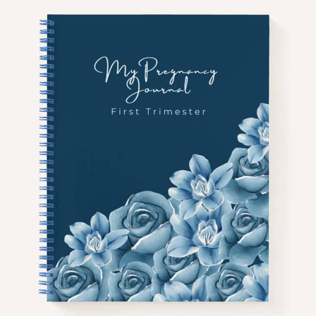 Pregnancy Journal | Faith-Filled First Trimester (Devant)