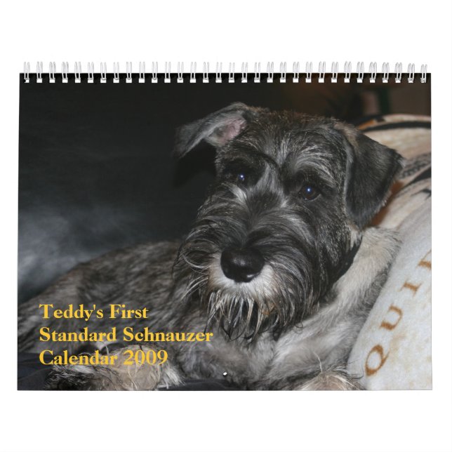 Premier calendrier 2009 du Schnauzer standard du (Protection)