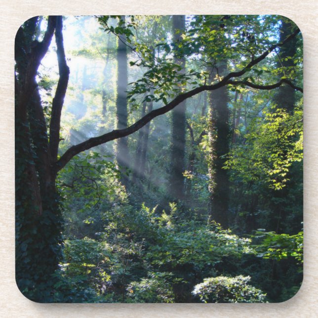 Premier Dessous de verre de liège léger (Devant)