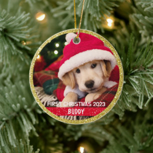 Premier Noël Chien Chiot Souvenir Photo Ornement