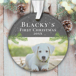 Premier Noël Chiot photo de Noël