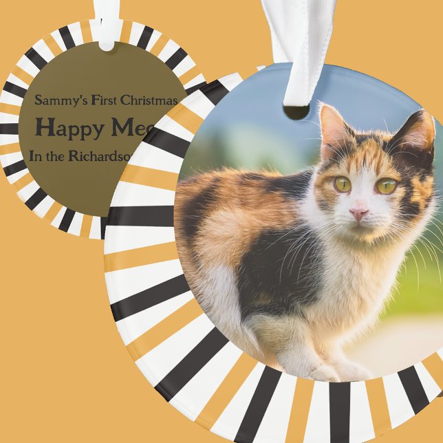 Premier Noël de chat calico (Créateur téléchargé)