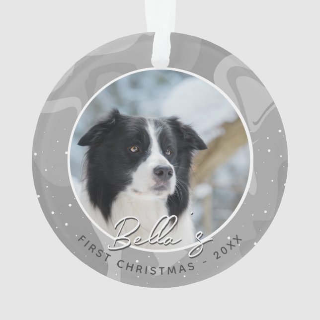 Premier Noël de chiot Border Collie Photo  (dos)