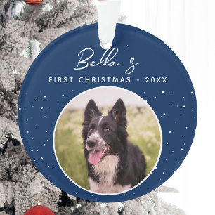 Premier Noël de chiot Border Collie Photo