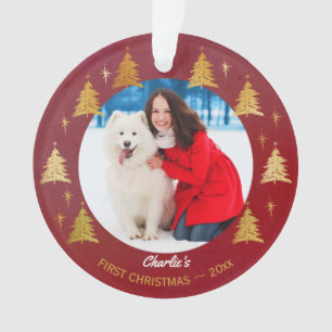 Premier Noël de chiot Photo de compagnie rouge arb