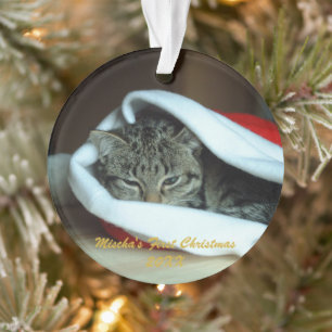 Premier Noël de l'animal de compagnie