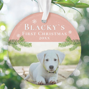 Premier Noël Pine Puppy Photo Ornement