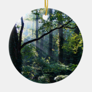 Premier ornement de lumière