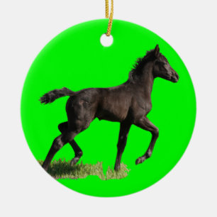 Premier ornement de Noël du petit de pouliche bé