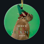Premier ornement photo de Noël du chien animal de<br><div class="desc">Premier ornement photo de Noël du chien animal de compagnie</div>