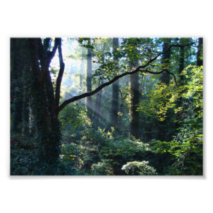 Première impression photo légère