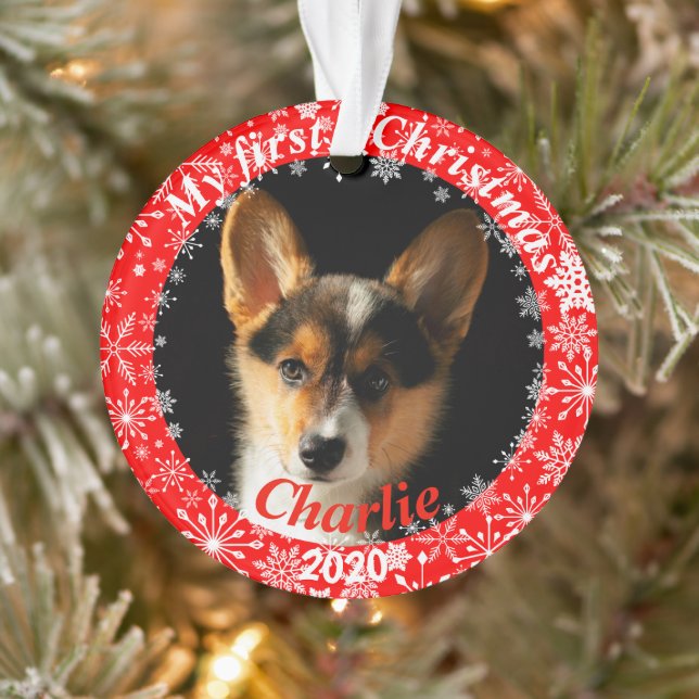 Première photo de Noël de la chienne (Arbre)