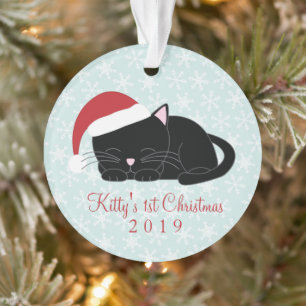 Première photo de Noël du chat noir