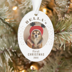 Premières Étoiles de photos de chiens de Noël