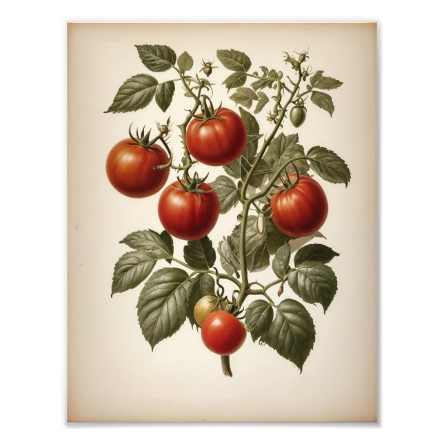 Premium Satin Photo Paper Photo Enlargement (Devant)