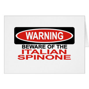 Prenez garde de l'Italien Spinone