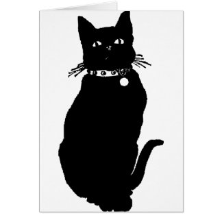 Prenez garde du chat noir