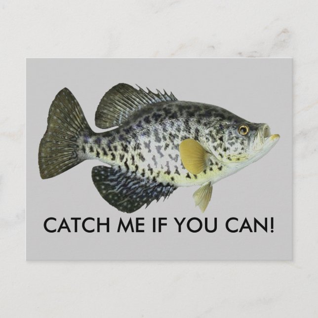 PRENEZ-MOI SI VOUS LE POUVEZ ! CARTE POSTALE (Devant)