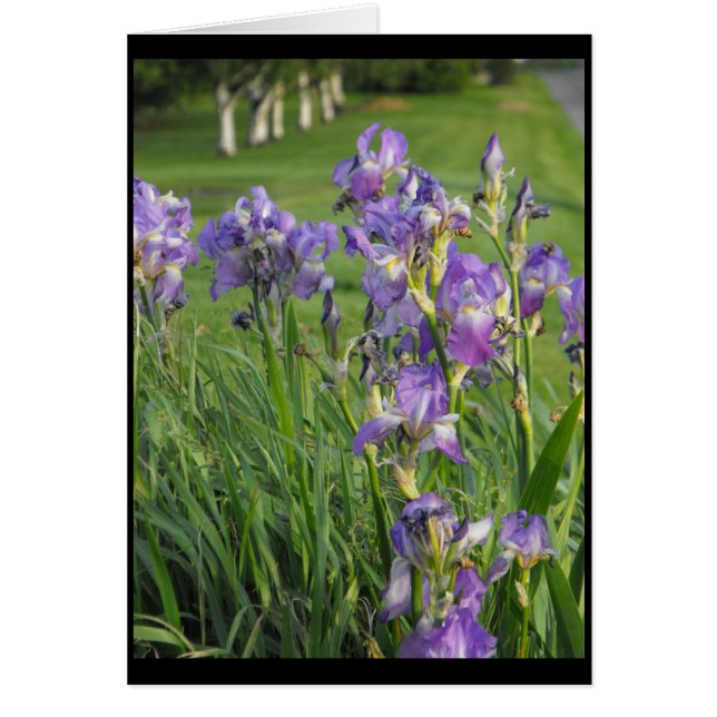 Préparez ainsi pour le ~ 21 de ressort (Devant)