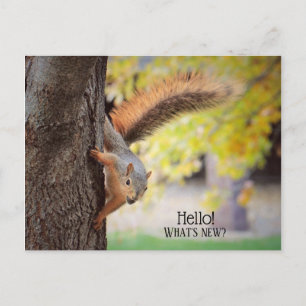 Presse dans pour dire Bonjour carte postale