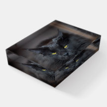 Poids en carton pour chats noirs Cute Kitty