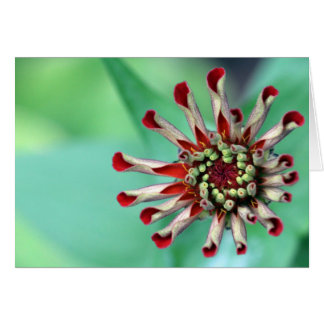 Prêt à se déployer !