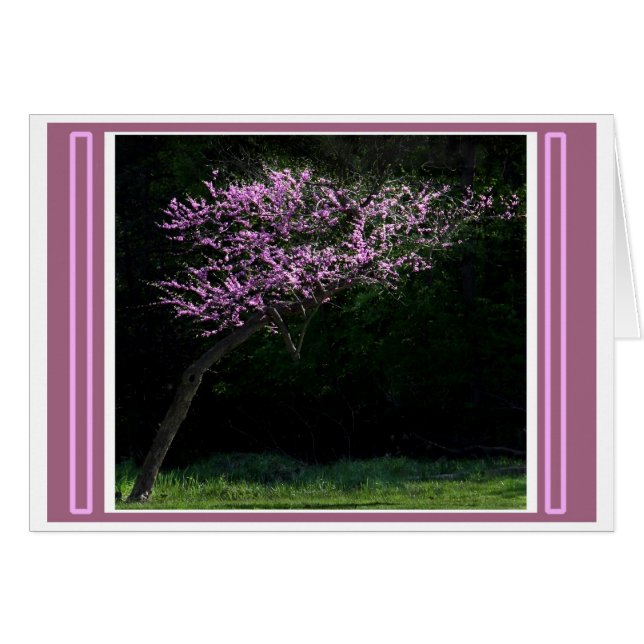 Prêt Au Ressort (Devant horizontal)