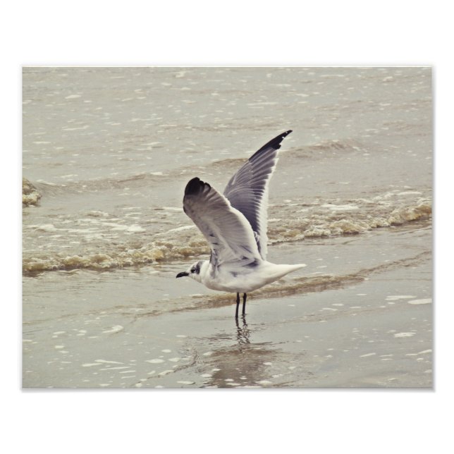 Prêt pour le vol Photo (Devant)