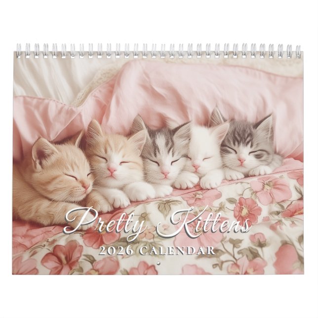 Pretty Kittens Pastel Pink 2026 Calendrier mural (Protection)