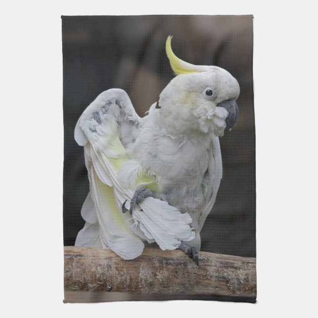 Prévenir Serviette de cuisine Cockatoo (Vertical)