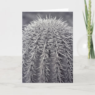 Prickly Cactus Sonoran Desert Carte de voeux photo