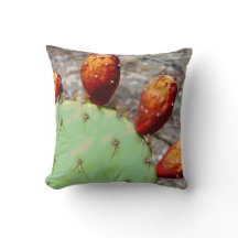 Prickly Pear Coussin