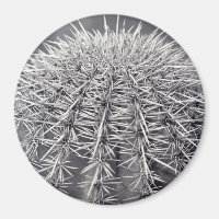 Pricks Cactus Sonoran Desert Refrigerator Magnet