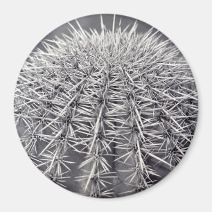 Pricks Cactus Sonoran Desert Refrigerator Magnet