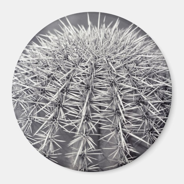 Pricks Cactus Sonoran Desert Refrigerator Magnet (Devant)