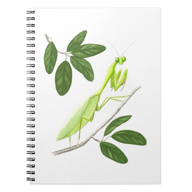 Prière Carnet Mantis (Devant)