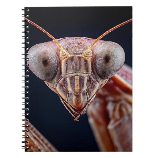 Prière Mantis Carnet Portrait (Devant)