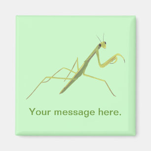 Priez Mantis Peindre Vos Mots Magnet