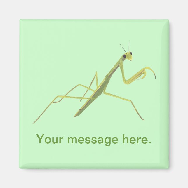 Priez Mantis Peindre Vos Mots Magnet (Devant)