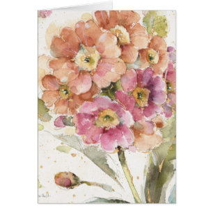 Primevère rose et orange